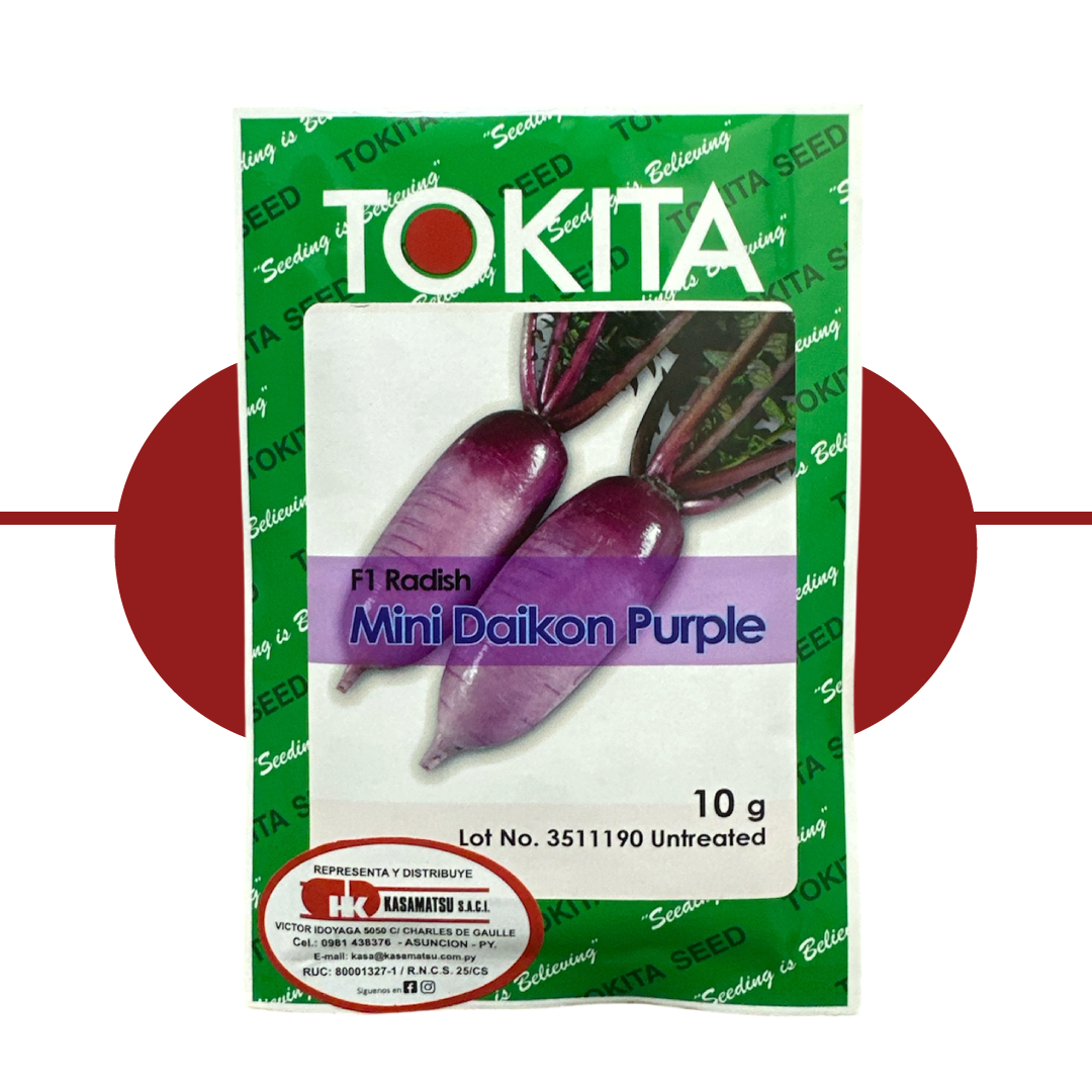 Rabano Mini Daikon Purple
